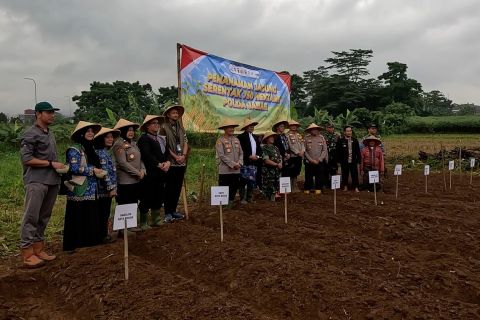 Pemkot Bogor gandeng Polri dan TNI untuk manfaatkan lahan tidur