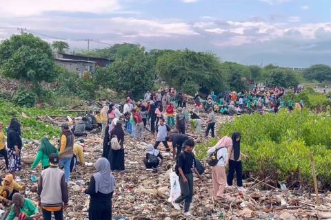 Pemkot Palu angkut seratus ton sampah di kawasan mangrove Teluk Palu
