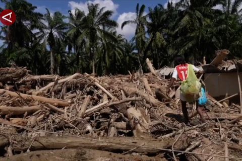 28 izin perusahaan dicabut telah melewati proses investigasi mendalam