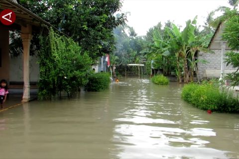 Curah hujan tinggi, puluhan rumah di Jember terendam banjir