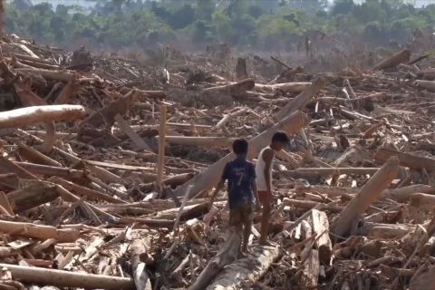 Mendagri sebut kayu sisa banjir Sumatera punya potensi ekonomi