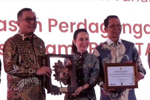 Wamen Todotua: Realisasi investasi Batam 2025 tumbuh Rp69 T