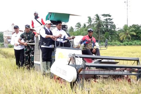Wamentrans tinjau Telang Rejo, diproyeksi jadi lumbung padi nasional