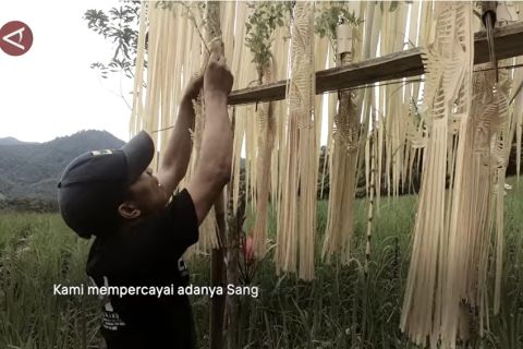 Menyelami Kekayaan Tradisi Suku Dayak Meratus