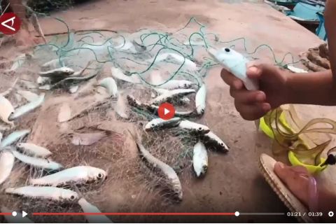 Presiden minta sejumlah program dikebut, salah satunya Kampung Nelayan - VIDEO