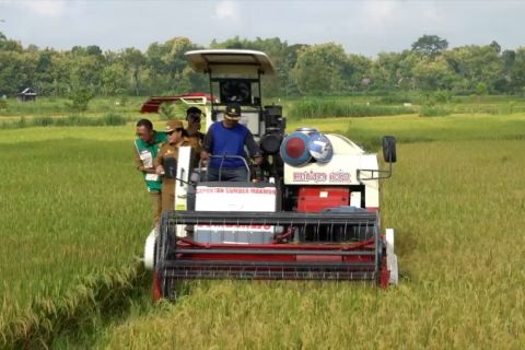 Bupati Gunungkidul ajak petani kelola lahan bersama berbasis teknologi