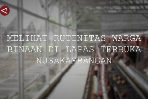 Melihat rutinitas warga binaan di Lapas Terbuka Nusakambangan