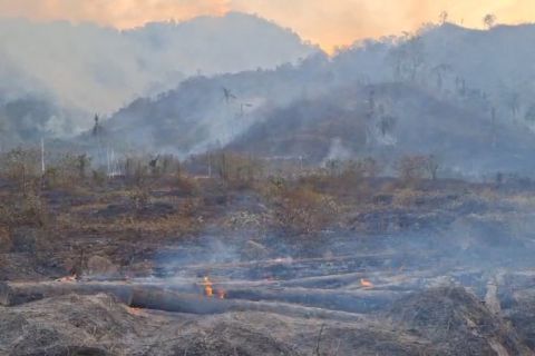 BPBD Sulteng buka opsi pemadaman karhutla dengan "water bombing"