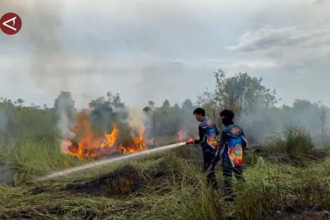 Karhutla mulai terjadi di Palangka Raya, BPBD tingkatkan pengawasan