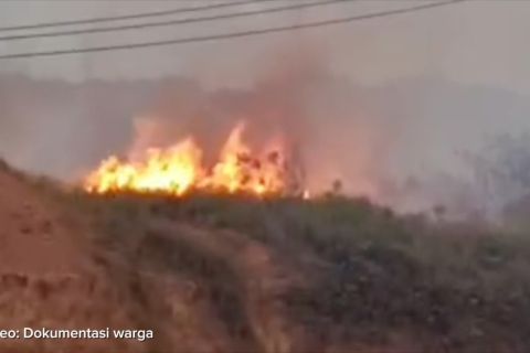 Karhutla dominasi bencana Kepri, BNPB salurkan bantuan alat mitigasi