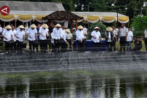 Kementerian Imipas kembangkan pertanian terintegrasi di Lapas Kendal