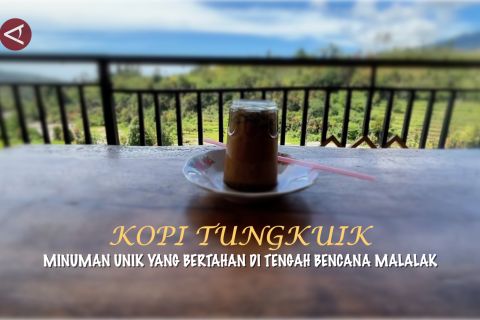 Kopi Tungkuik, minuman unik yang bertahan di tengah bencana Malalak