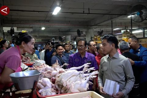 Gibran minta Pemkot Denpasar berikan subsidi harga bahan pokok merata