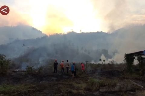 Karhutla meluas ke tujuh kecamatan, BPBD Sulteng tetapkan status siaga