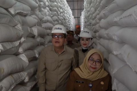 Stok beras Bulog Sumsel Babel melimpah, DPR minta segera disalurkan
