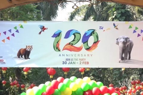 Rayakan ulang tahun ke-120, Kebun Binatang Yangon tertua di Myanmar