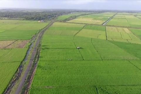 Bulog targetkan serap 27 ribu ton beras petani Merauke