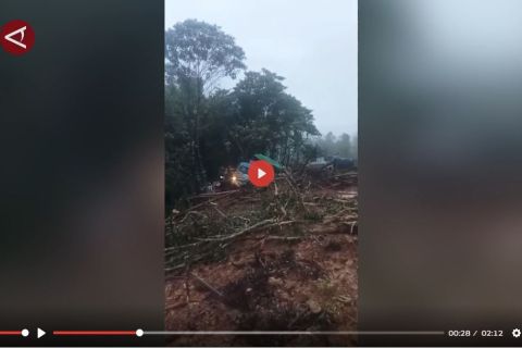 Curah hujan tinggi, jalan trans papua Jayapura-Wamena putus - VIDEO