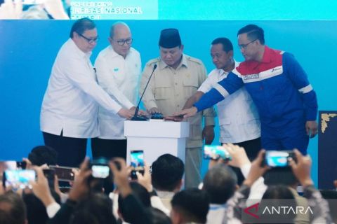 Presiden resmikan 13 proyek hilirisasi tahap II