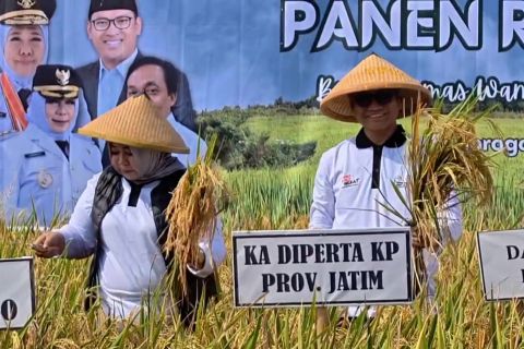 Harga gabah di atas HPP, Pemkab Ponorogo gelar panen raya