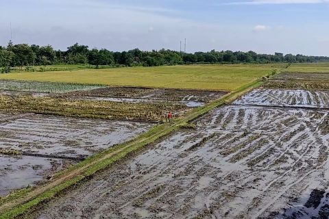 Dinas Pertanian Semarang optimalkan alsintan jelang kemarau