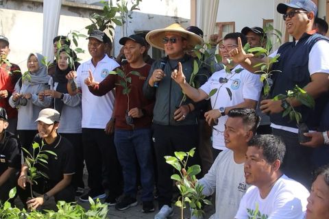 Dukung pelestarian alam, ANTARA tanam ratusan bibit pohon produktif