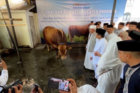 Gubernur Kalsel lepas Tim Pengawasan dan Pemeriksaan Hewan Kurban