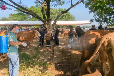 Jamin kesehatan ternak, DKPP Madiun kerahkan tim khusus hewan kurban