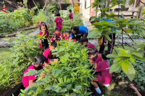 Siswa SD di Solo belajar proses pangan lewat kebun sirkular