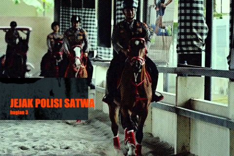 Jejak polisi satwa (bagian 3)
