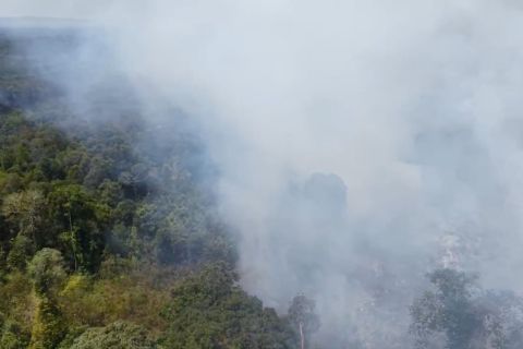 11 dari 12 kabupaten/kota di Riau tetapkan siaga karhutla