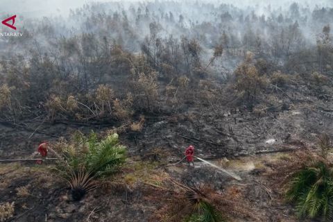 Titik karhutla terdeteksi di lahan konsesi 21 perusahaan di Sumsel