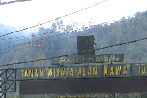 Karhutla Merapi Ungup-Ungup merambat ke TWA Kawah Ijen