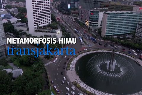 Metamorfosis Hijau Transjakarta