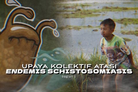 Upaya kolektif atasi endemis schistosomiasis (bagian 1)
