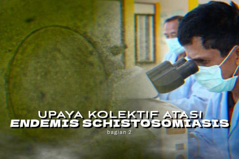 Upaya kolektif atasi endemis schistosomiasis (bagian 2)