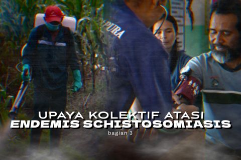 Upaya kolektif atasi endemis schistosomiasis (bagian 3)
