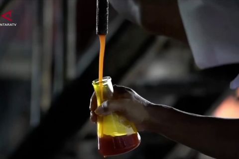 Kementan percepat pengembangan bioetanol di 2 juta hektare lahan