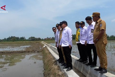 Dudung tinjau Proyek Irigasi Berbasis Masyarakat di Deli Serdang