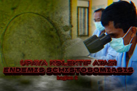 Upaya kolektif atasi endemis schistosomiasis (bagian 2)