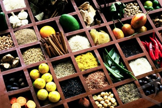 Obat herbal tradisional Dayak makin diminati