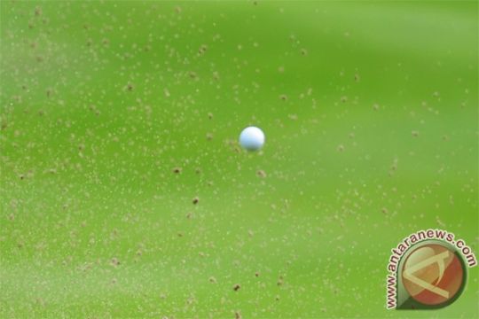 Dayu peringkat empat kejuaraan golf dunia junior