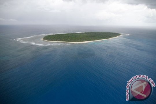 Populasi penyu di Pulau Sembilan berkurang