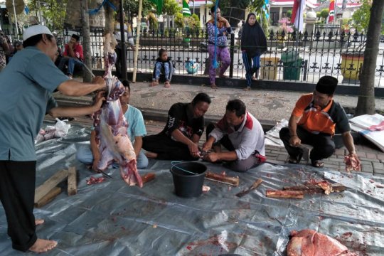 Petugas kesehatan kurban Mataram temukan empat kasus cacing hati