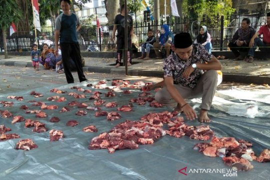 Distan: kasus cacing hati hewan kurban Mataram meningkat