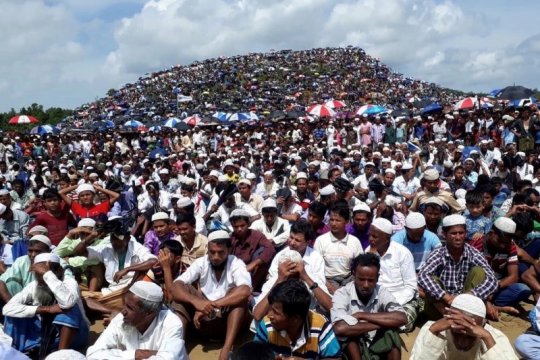 Bangladesh akan pindahkan pengungsi Rohingya ke pulau rawan banjir