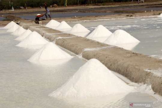PT Garam produksi 8.300 ton garam di Bipolo NTT