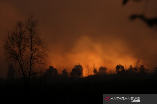 Kebakaran Hutan Dan Lahan