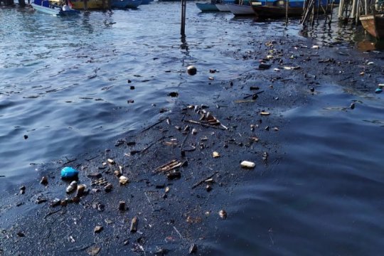 Mulai berkurang pencemaran minyak di Pulau Belakangpadang Batam