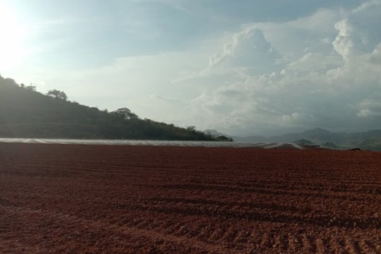 Perhapi: reklamasi bekas tambang terkendala infrastruktur